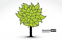 Green Leaf Tree Vector