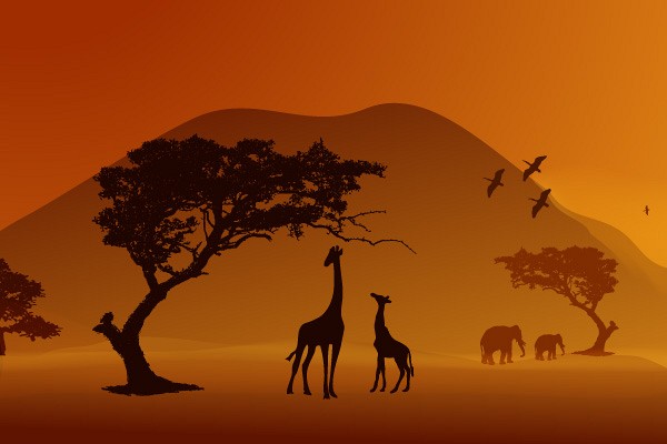 African Safari Vector Illustration
