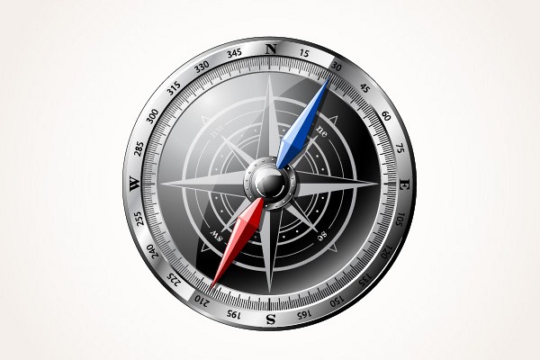 Detailed Vector Compass