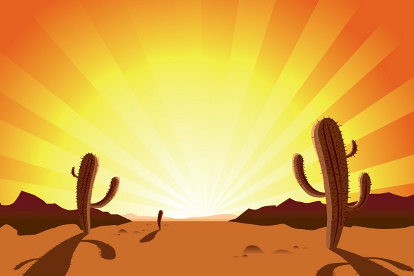 Sunrise Desert Cactus Vector Illustration