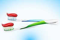 Toothbrush Vector Graphic
