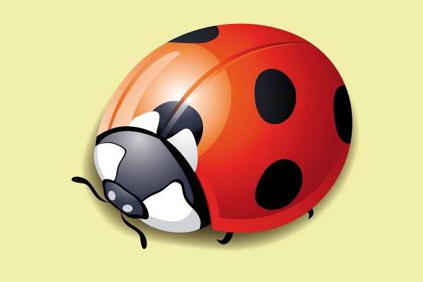 Cute Ladybug Vector