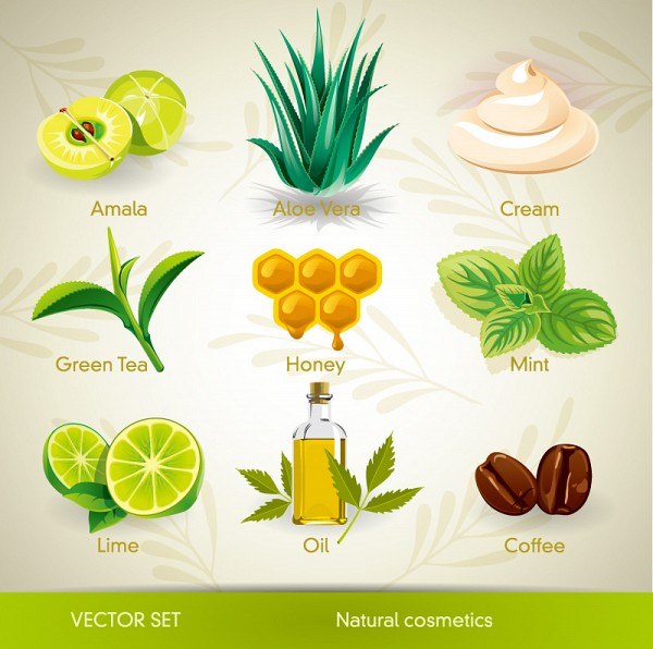 Natural Cosmetics Vector Set