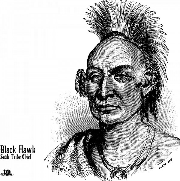 Black Hawk Native American Vector