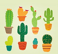 Cactus Vector Illustrations