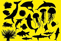 Ocean Animals Vector Silhouettes