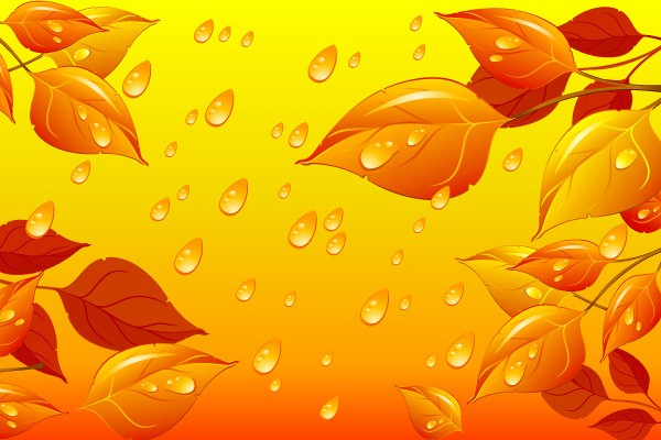 Autumn Leaves Vector Illustration