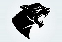 Panther Head Vector Silhouette