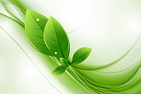 Green Eco Leaves Background Vector