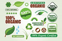 Organic Eco Vector Elements