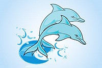 Blue Dolphins Vector Graphic