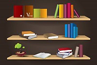 Bookshelf Vector Illustration
