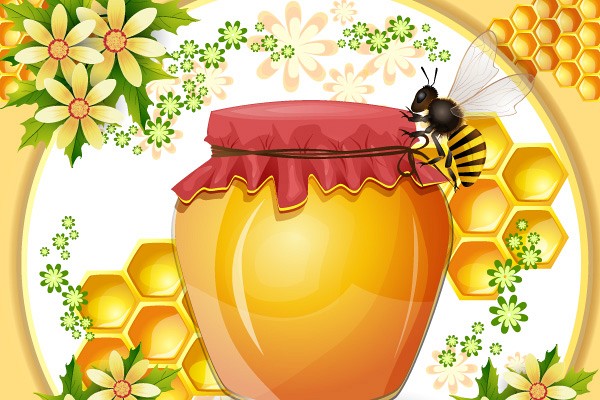 Beehive & Honey Vector Illustration