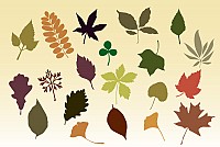 Autumn Leaves Vector Silhouettes