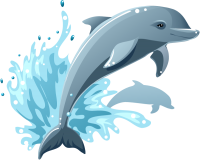 Dolphin Vector Graphic