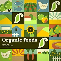 Organic Food Flat Vector Icons