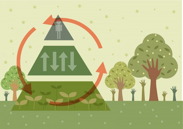 Green Arrow Tree Illustration