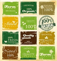 Organic Vintage Vector Labels