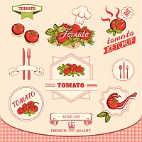 Tomato Vector Illustration